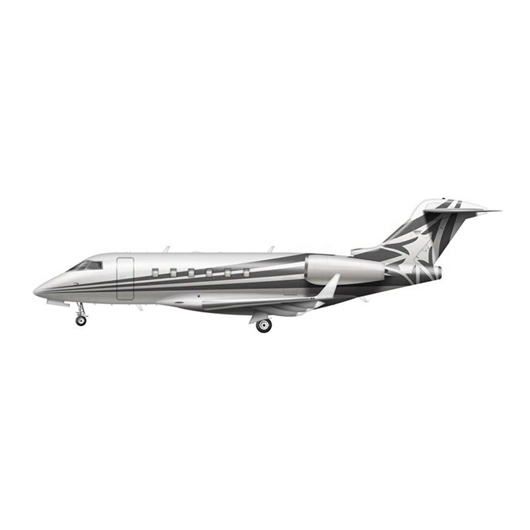 Bombardier Challenger 300 aircraft